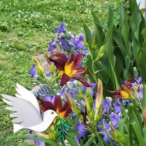 Meet your Posher, Debra